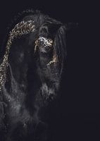 Fine art portret Fries paard met goud