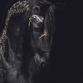 Fine art portret Fries paard met goud van Shirley van Lieshout