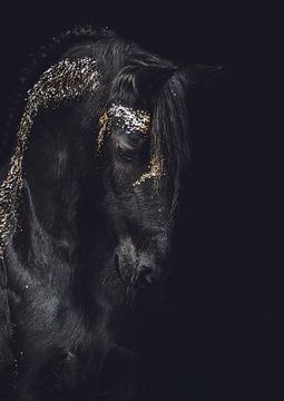 Fine art portret Fries paard met goud van Shirley van Lieshout
