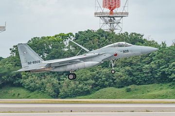 Landing Japanse McDonnell Douglas F-15J Eagle. van Jaap van den Berg