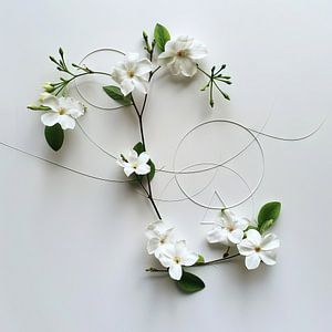 Jasmine - Delicate floral artwork