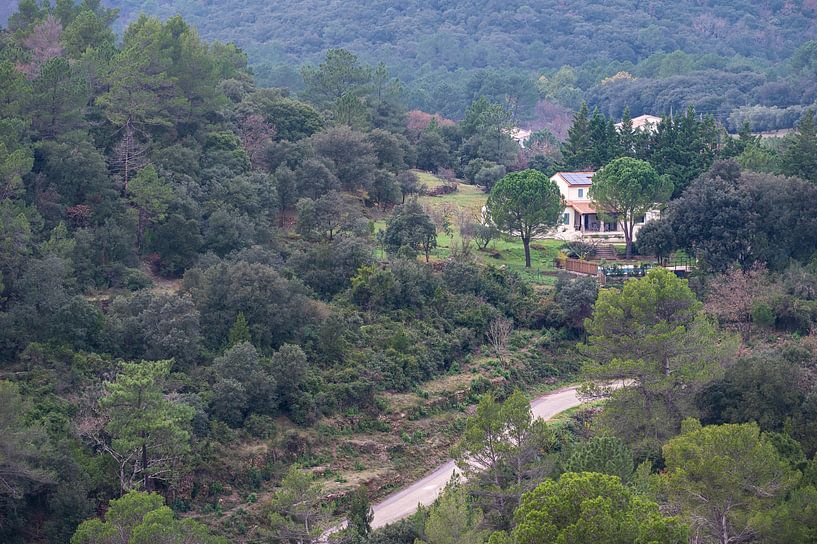 The green hills of Cevennes by Werner Lerooy