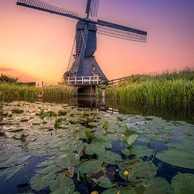 Middelmolen, Molenaarsgraaf van Rens Marskamp