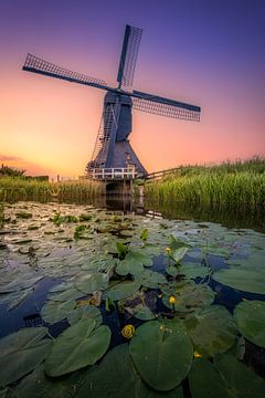 Middelmolen, Molenaarsgraaf van Rens Marskamp