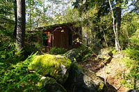 Enchanted house in Sweden's forests