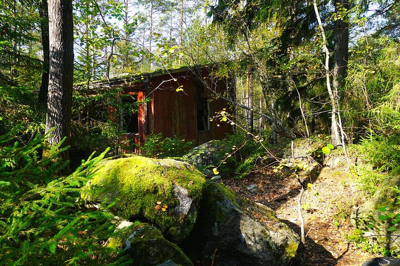 Maison enchantée dans les forêts suédoises par Thomas Zacharias