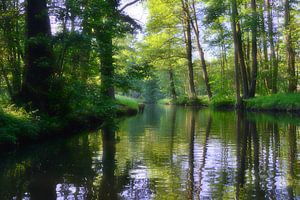 Spreewald-Impression 2.0