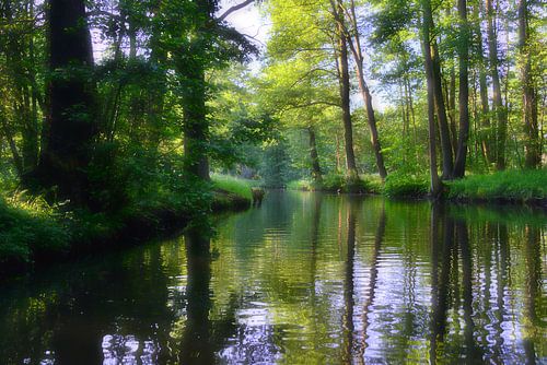 Spreewald-Impression 2.0