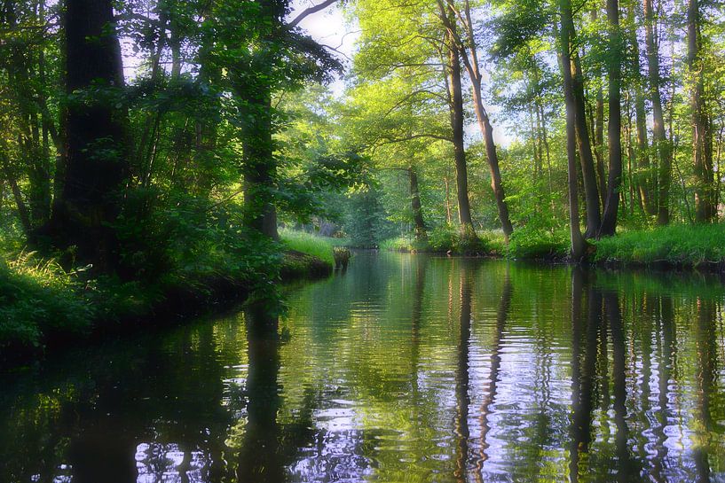 Spreewald-Impression 2.0 von Ingo Laue