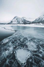 Grönlands Küste im Winter