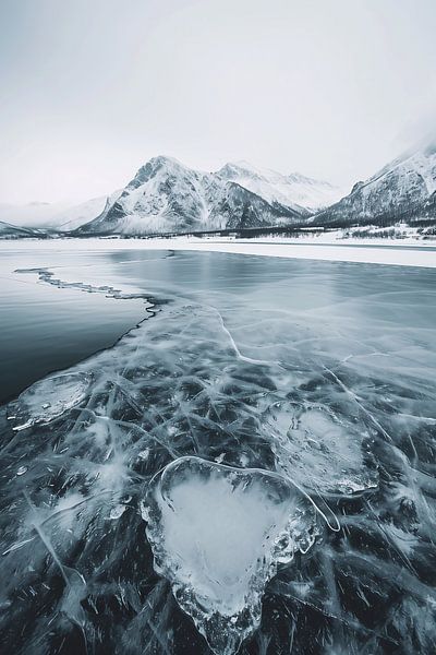 Grönlands Küste im Winter von fernlichtsicht