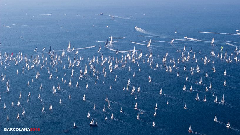 Barcolana Segelregatta 2018, Triest von Helga Novelli