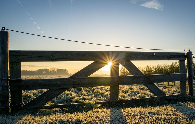 Fence sunrise by Willian Goedhart