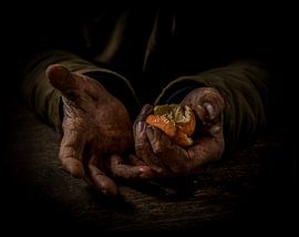 mandarijnenschillen von Jiske Wijmans @Artistieke Fotografie