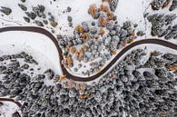Winter in de Herfst van Thomas Bartelds thumbnail