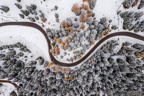 Winter in Autumn