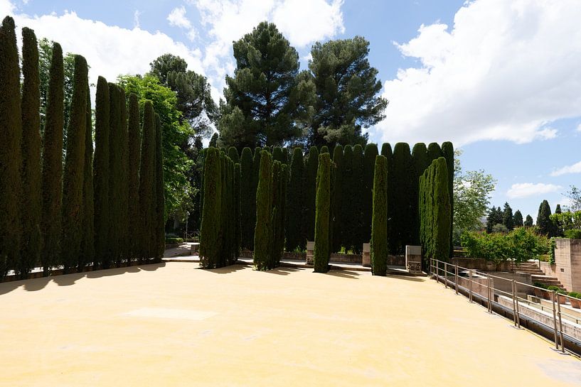 All yellow by Stefan Havadi-Nagy