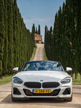 BMW Z4 by Menno Schaefer