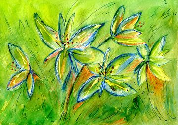 fresh green lilies by Claudia Gründler