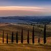 Tuscany landscape with fields, cypress path and hilly landscape at sunset by Voss Fine Art Fotografie