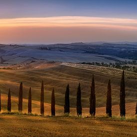 Toskana Landschaft mit Feldern , Zypressenweg und Hügellandschaft im Sonnenuntergang von Voss Fine Art Fotografie