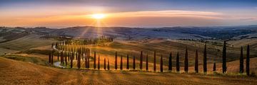 Toscane landschap met velden, cipressenpad en heuvellandschap bij zonsondergang van Voss Fine Art Fotografie