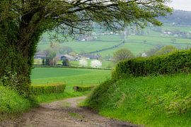 Epen, South Limburg by Alle de Vries