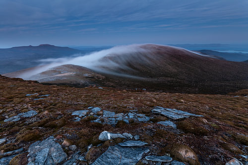 A fleeting miracle in Tasmania by Jiri Viehmann