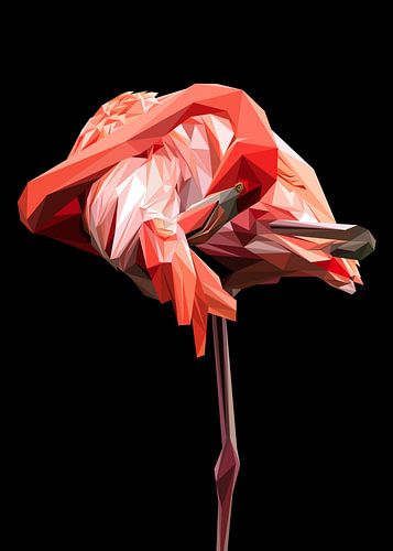 Roze Flamengo Laagpolig