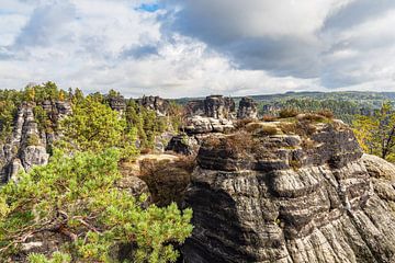 View of rocks and trees in Saxon Switzerland