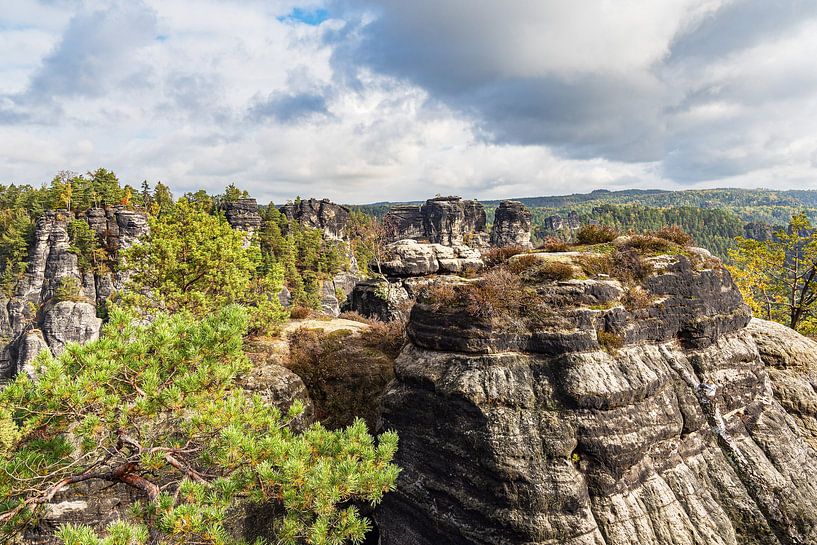 Blick auf Felsen und Bäume in der Sächsische Schweiz von Rico Ködder