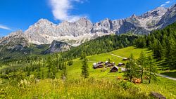 Der Blick zur Neustattalm und zum Dachstein