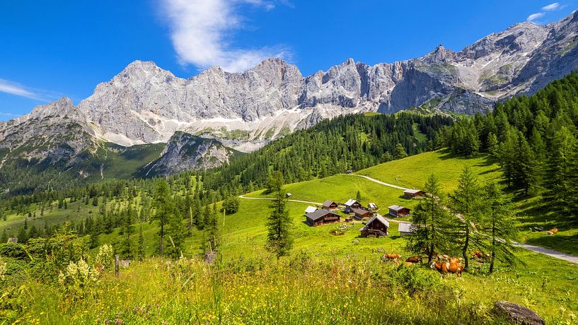 Der Blick zur Neustattalm und zum Dachstein von Christa Kramer