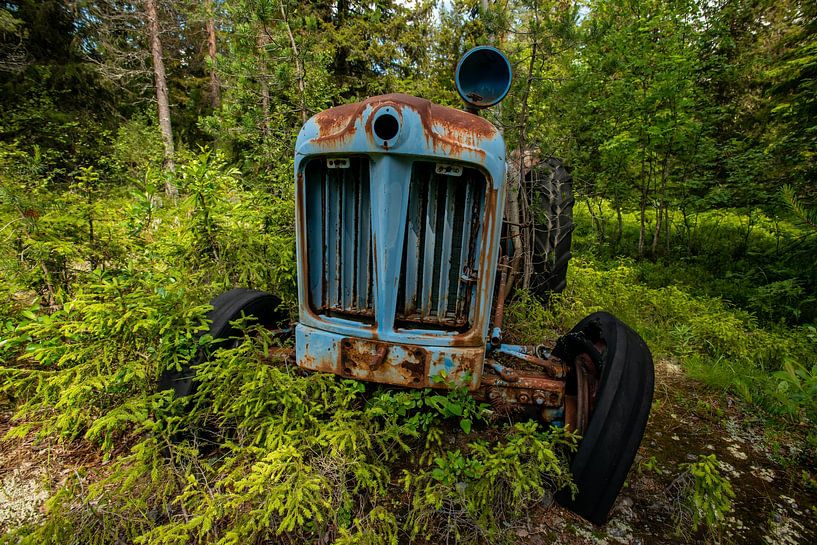 Vergangener Ruhm von Harry Punter