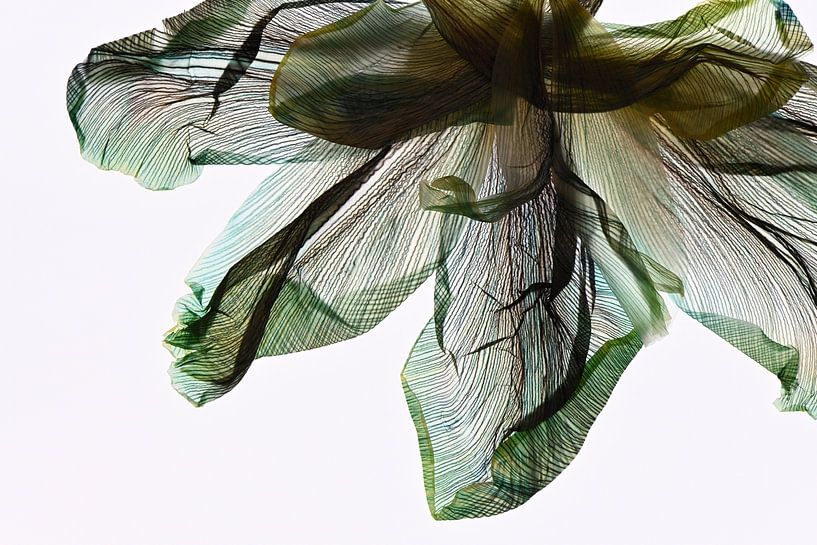 Shades of green - The fingerprint of leaves van Christine de Vogel