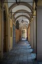 Sentier pédestre à Modène, magnifique sous les arcades par Patrick Verhoef Aperçu