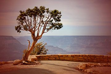 Grand Canyon van fotoping