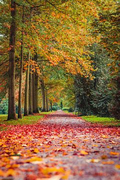 Der Herbstweg von Renato Dehnhardt