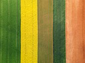 De Verenigde Kleuren van de Landbouw van PHOTO - MOMENTS thumbnail