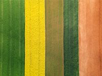 De Verenigde Kleuren van de Landbouw