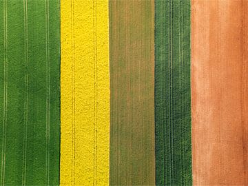 De Verenigde Kleuren van de Landbouw van PHOTO - MOMENTS
