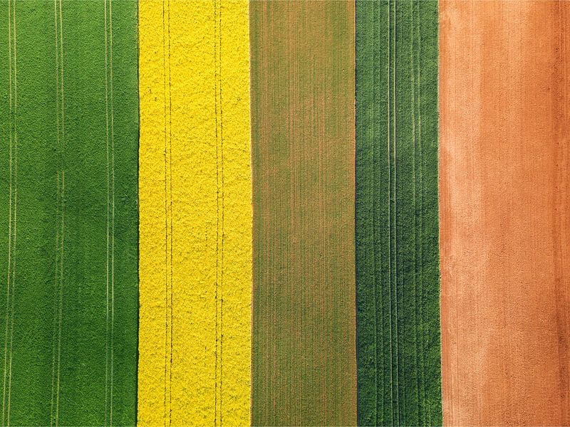De Verenigde Kleuren van de Landbouw van PHOTO - MOMENTS