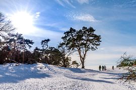 Winter und Schnee in den Niederlanden. von Els Oomis