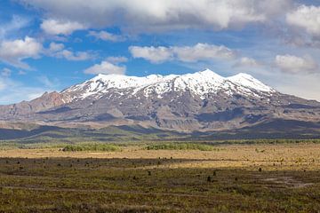 Mount Ruapehu volcano in New Zealand by Markus Gann