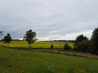 Gekleurde Heide