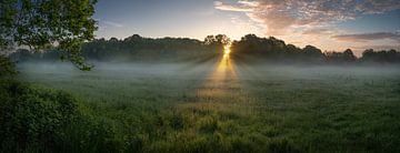 Zonsopgang over weide aan de Ems als panorama van Leinemeister