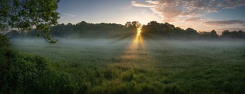 Panorama du lever de soleil sur une prairie au bord de l'Ems