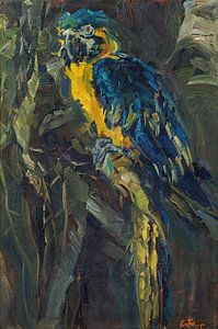 Ara, Carl Fahringer