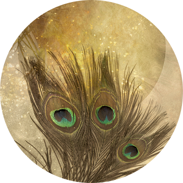 Dusting the Moon.1. Pauwenveer. Maan.