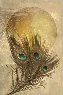 Dusting the Moon.1. Peacock feather. Moon. by Alie Ekkelenkamp